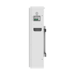 FLA48100